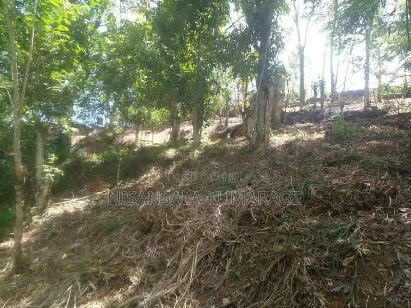 Land for Sale Haliela