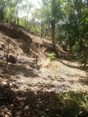 Land for Sale Haliela