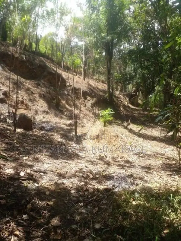 Land for Sale Haliela