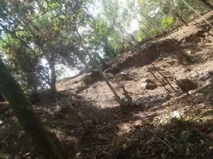 Land for Sale Haliela