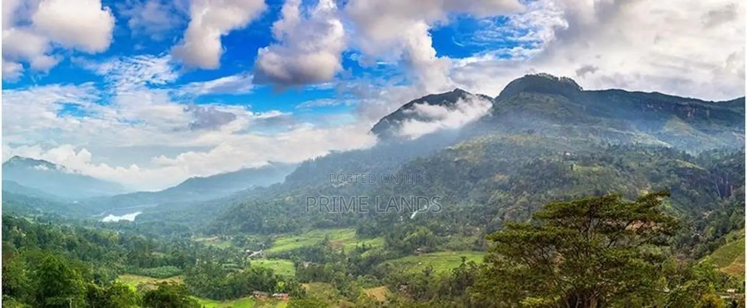 New Land for Nuwara Eliya Road