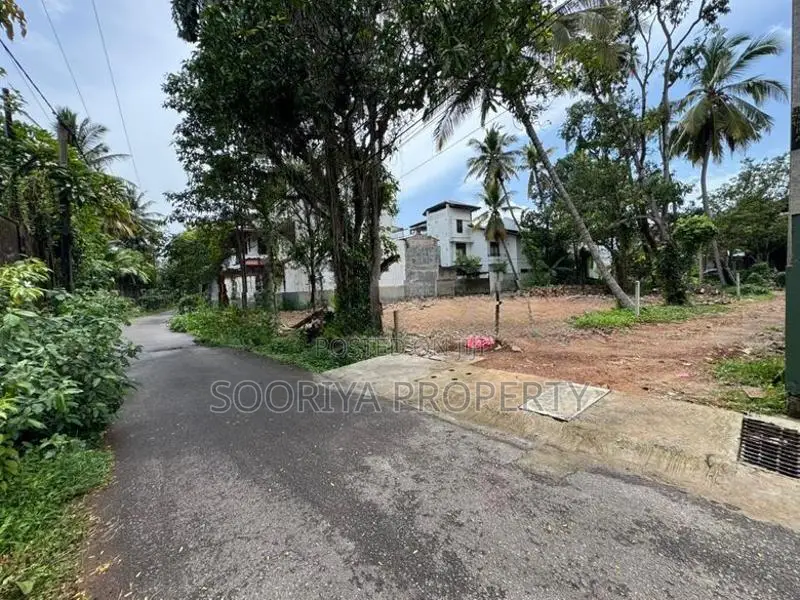 Highly Residential Land for Sale in Kohuwala Rattanapitiya