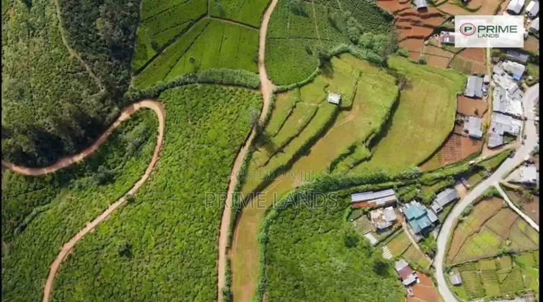 Land for Sale Nuwara Eliya Road
