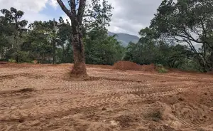 වැලිමඩ, බොරලන්ද නගර සිමාවේ වටිනා ඉඩමක්