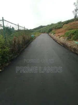 Valuable Land for Sale Nuwara Eliya Road