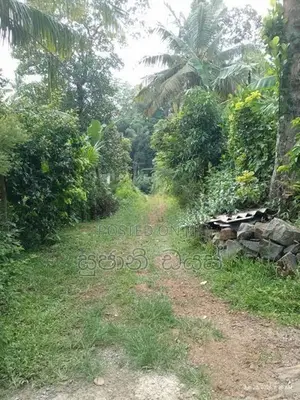 House With Land For Sale In Galle