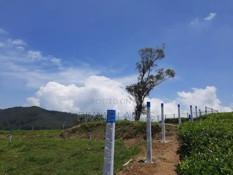Land for Sale Ambewela