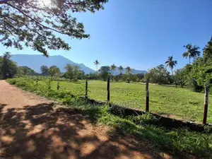 කපුවත්ත - දඹූල්ල බිම්කොටස්