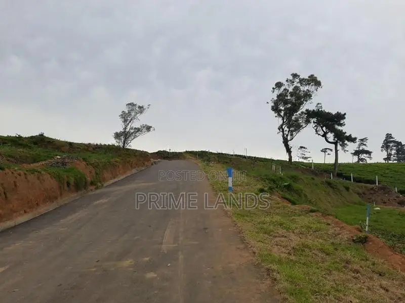 Land Location Nuwaraeliya