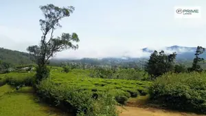 Land for Sale Nuwara Eliya Road