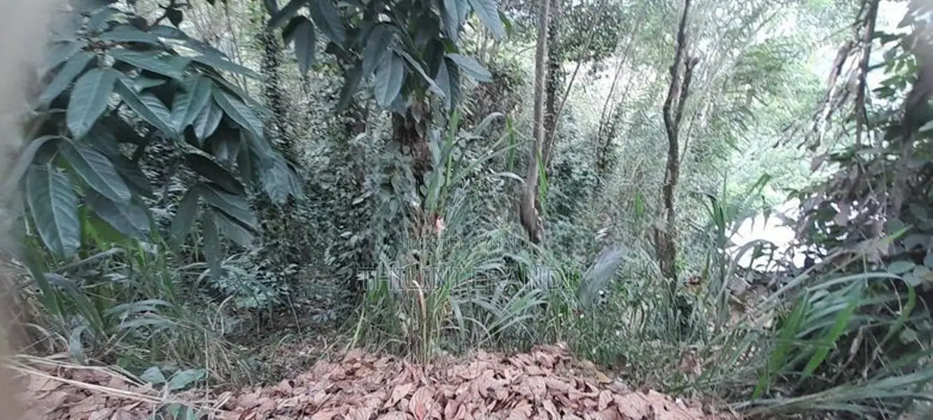Valuable Land in Badulla