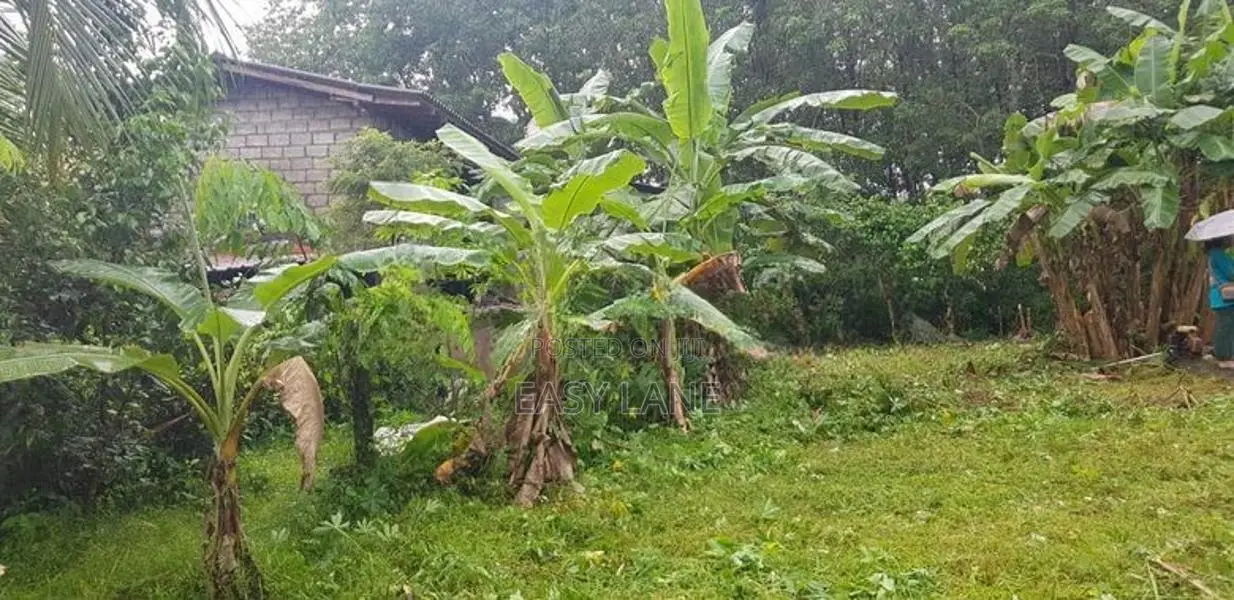 මතුගම නගරයට ලඟින් වටිනා බිම් කොටසක් විකිණීමට