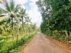 කිරිදිවැලින් ආදායම් ලබන පොල් ඉඩමක් විකිණීමට