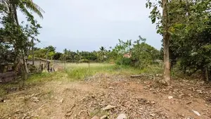 ගනේමුල්ල – ජාඇල පාරෙන් ඉඩමක්