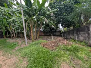 Land for Sale in Mount Lavinia