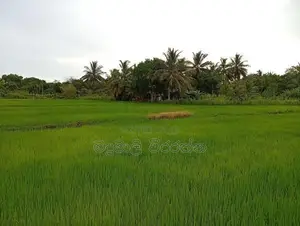 නිස්කලංක පරිසරයක ඉඩමක් විකිණිමට - කතරගම