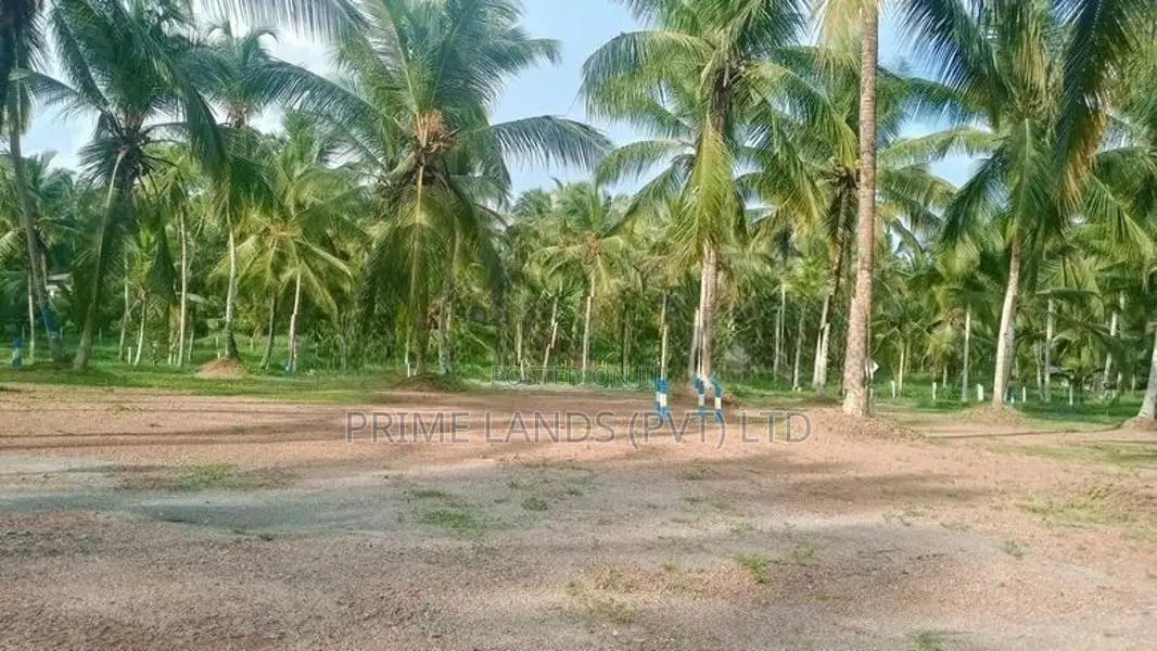 කඩවතින් ඉඩමක්