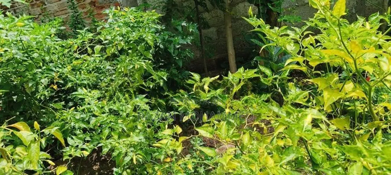 Land for Sale in Maligaikadu