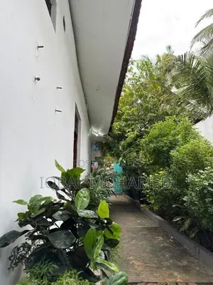 House for Rent Pottuvil