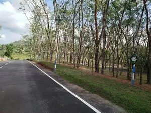 හෝමාගම බෙරුකැටිය බිම් කොටස් විකිණීමට
