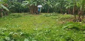 මතුගම නගරයට ලඟින් වටිනා බිම් කොටසක් විකිණීමට