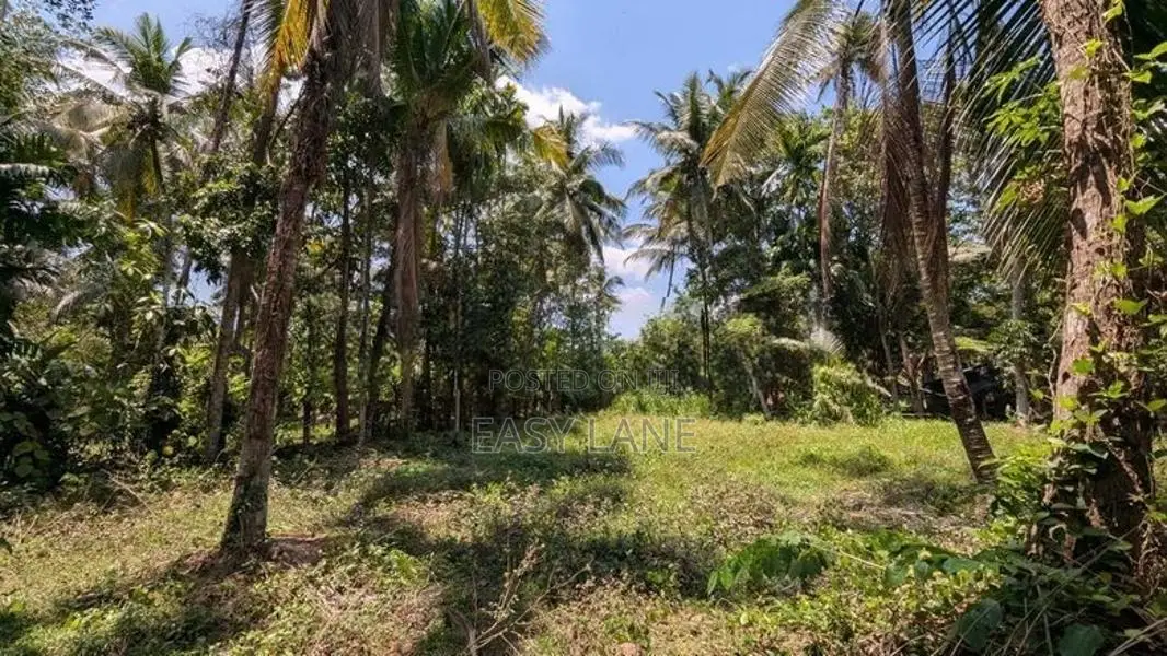 ගම්පහ නගරයට ආසන්නයෙන් ඉඩමක්