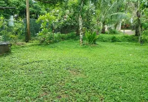 Kadawatha Land for Sale