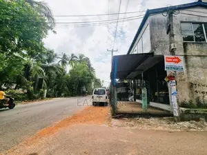 කිරිදිවැලින් ආදායම් ලබන පොල් ඉඩමක් විකිණීමට