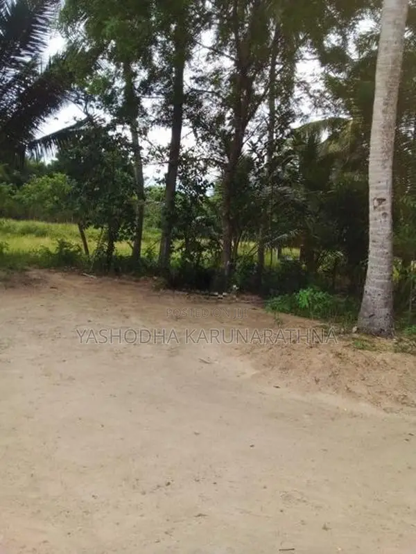 අගනා ඉඩමක් සමඟ නිවසක් විකිණීමට - අම්පාර