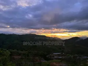 හැටන් වටවල සුන්දර පරිසරයක අගනා බිම් කොටස් පොලීරහිතව ගෙවන්න ගන්න