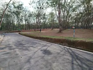 හෝමාගම බෙරුකැටිය බිම් කොටස් විකිණීමට