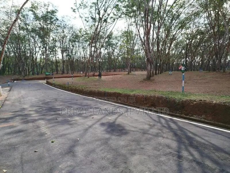 හෝමාගම බෙරුකැටිය බිම් කොටස් විකිණීමට
