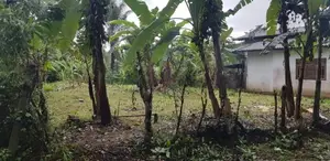 මතුගම නගරයට ලඟින් වටිනා බිම් කොටසක් විකිණීමට