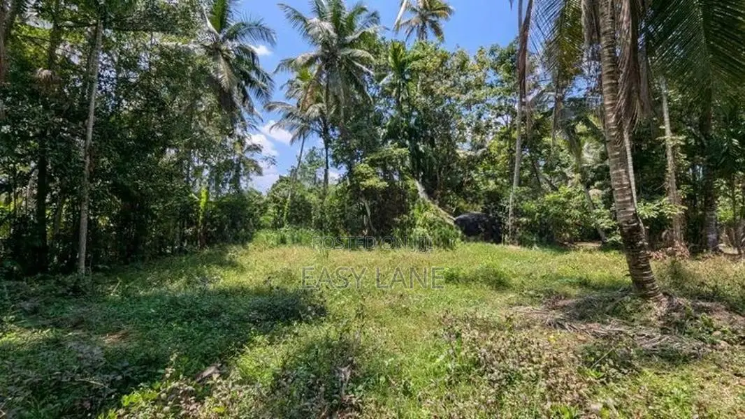 ගම්පහ නගරයට ආසන්නයෙන් ඉඩමක්