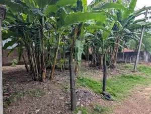 Land for Sale in Mount Lavinia