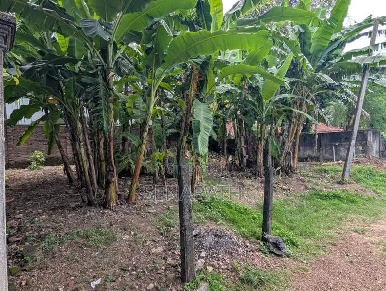 Land for Sale in Mount Lavinia