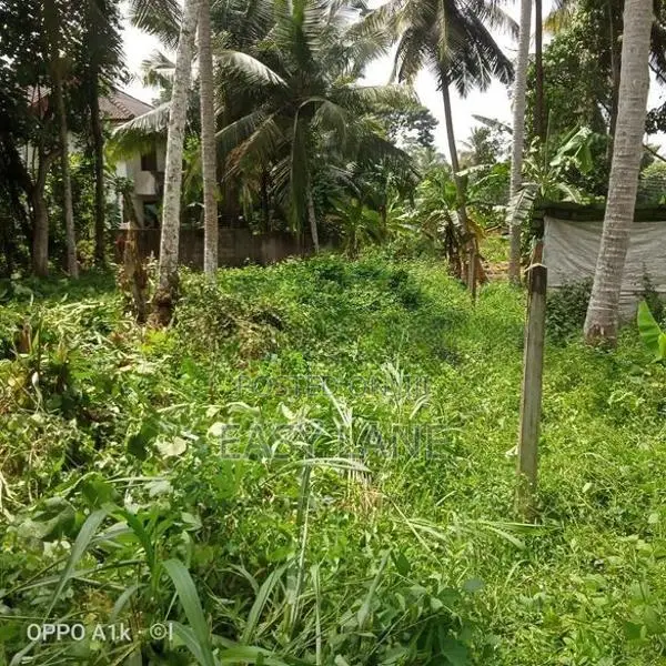 වේයන්ගොඩ නගරයට ඉතා ආසන්නයෙන්