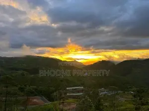 හැටන් වටවල සුන්දර පරිසරයක අගනා බිම් කොටස් පොලීරහිතව ගෙවන්න ගන්න