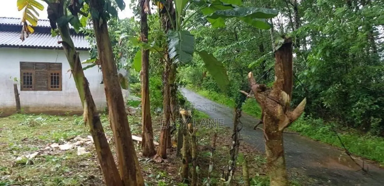 මතුගම නගරයට ලඟින් වටිනා බිම් කොටසක් විකිණීමට