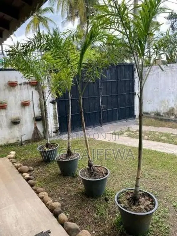 Full Furnished Villa house for sale in Negombo, Dungalpitiya