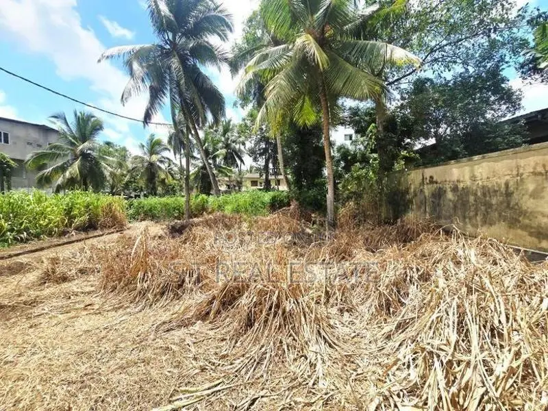 8.10P Prime Land For Sale In Thalawathugoda