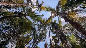 ගම්පහ නගරයට ආසන්නයෙන් ඉඩමක්