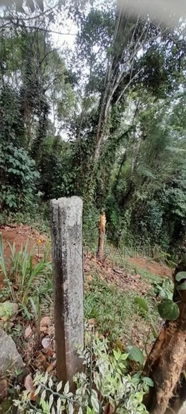 Valuable Land in Badulla