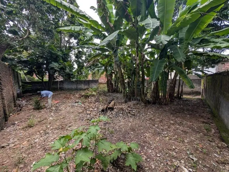 Land for Sale in Mount Lavinia
