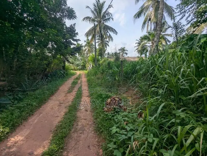 වේයන්ගොඩ නගරයට ඉතා ආසන්නයෙන්