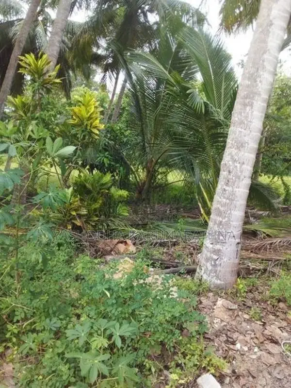 අගනා ඉඩමක් සමඟ නිවසක් විකිණීමට - අම්පාර