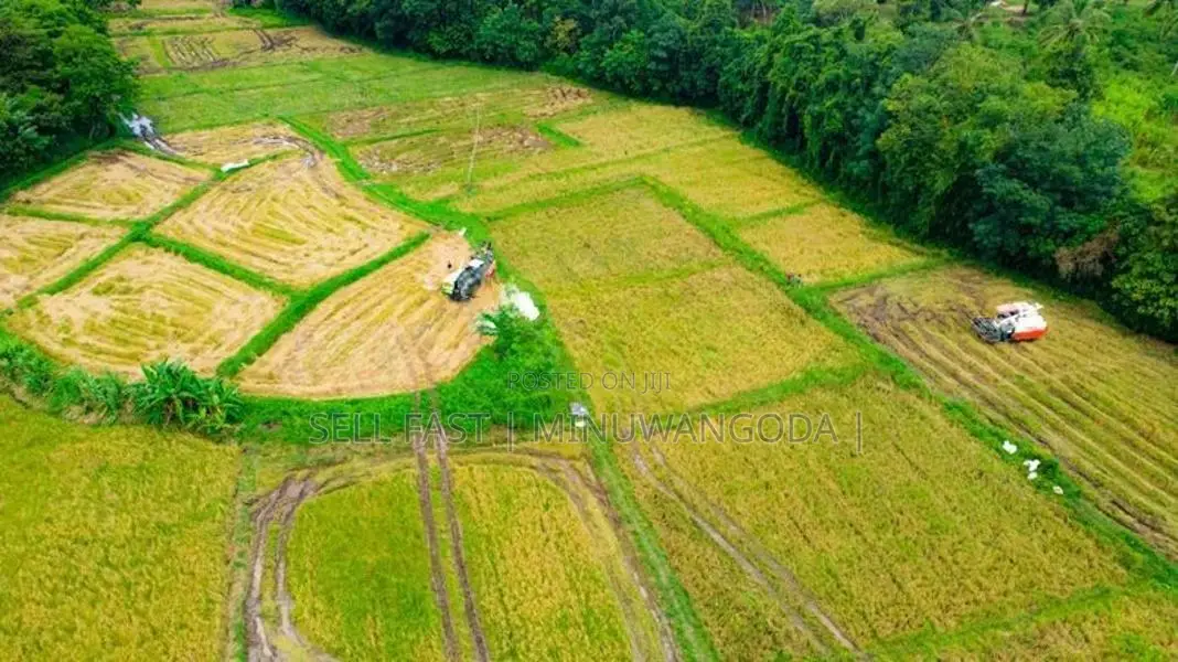 Land for Sale - Negombo