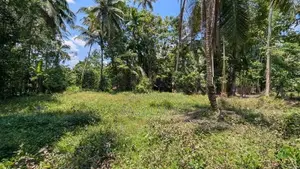 ගම්පහ නගරයට ආසන්නයෙන් ඉඩමක්