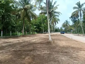 Land for Sale in Narammala