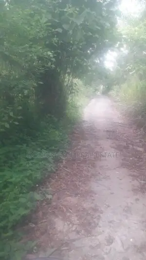 Land for Sale Near New Highway Entrance in Merigama